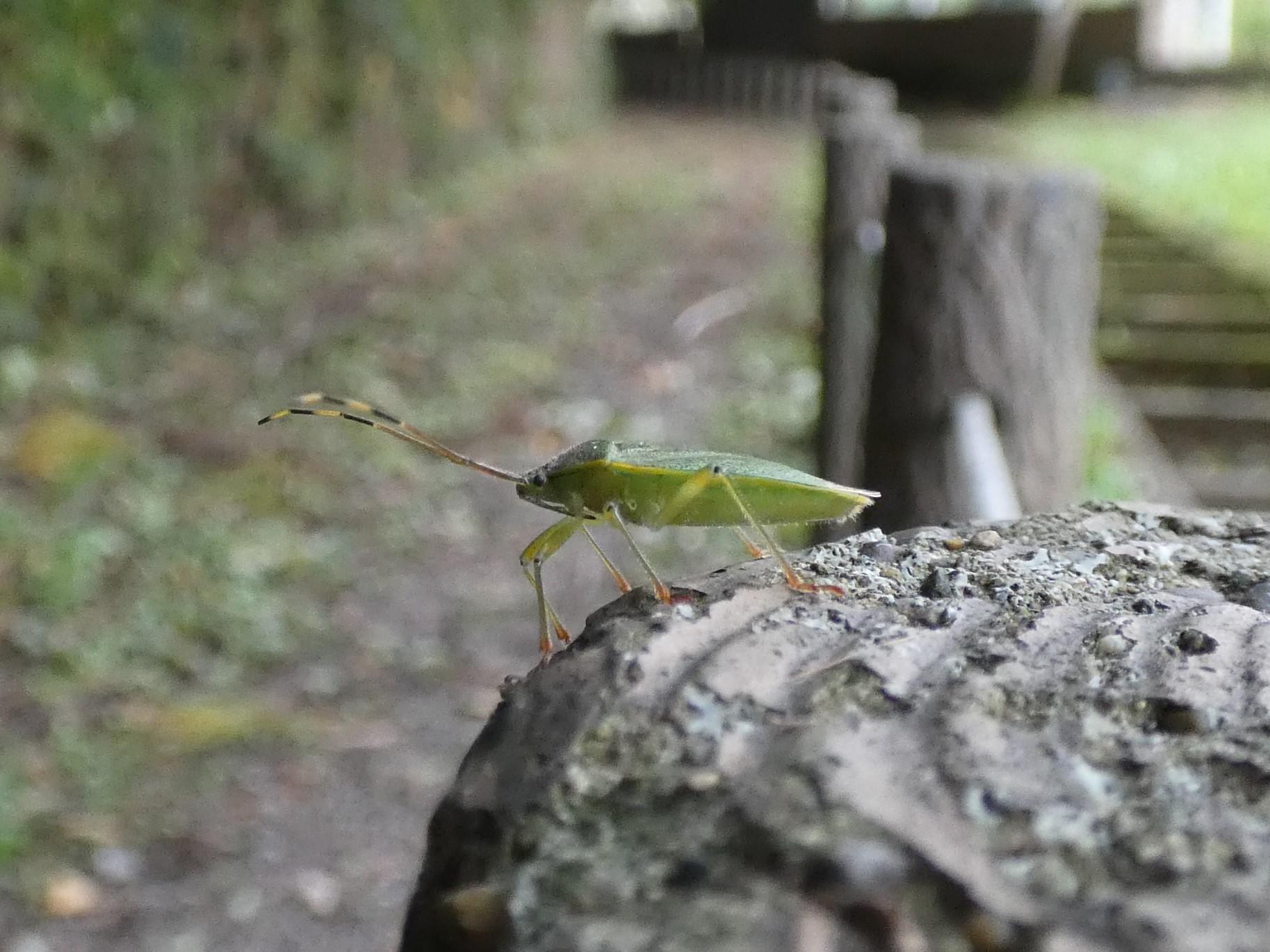 photo_5